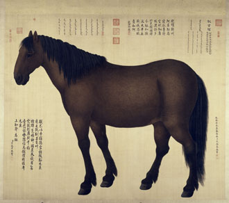 Visuels de l'artiste