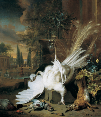 Visuels de l'artiste