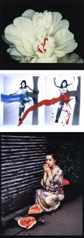 Visuels de l'artiste