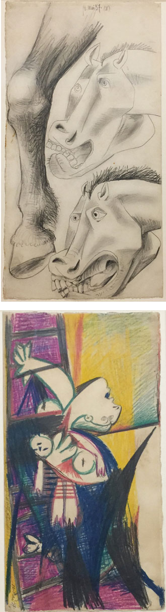 Visuels de l'artiste