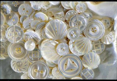 boutons de nacre