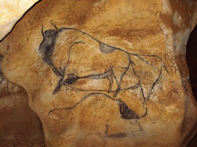 Bison - dessin au charbon de bois