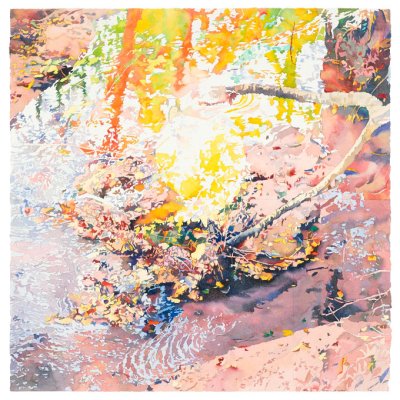 Jardin de la comète 2011 - aquarelle