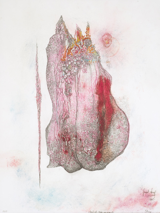 Visuels de l'artiste