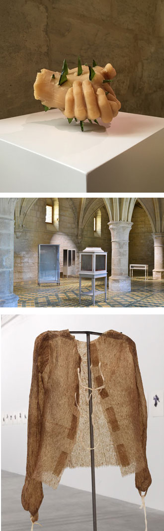 Visuels de l'artiste