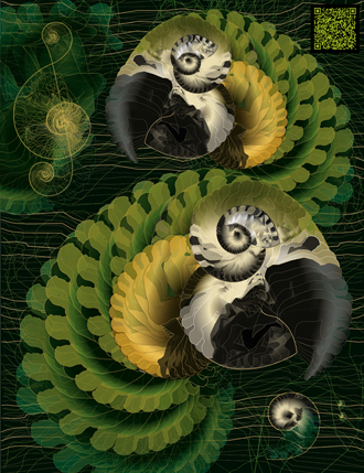 Visuels de l'artiste